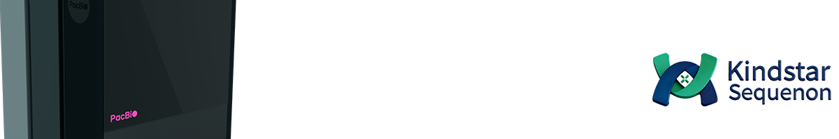 Kindstar Revio 1200 x 400